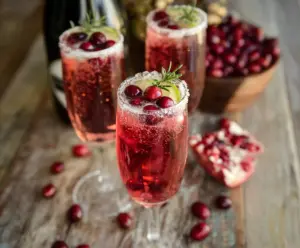 Elegant Cranberry Prosecco Pomegranate Cocktail garnished with fresh cranberries and pomegranate seeds.