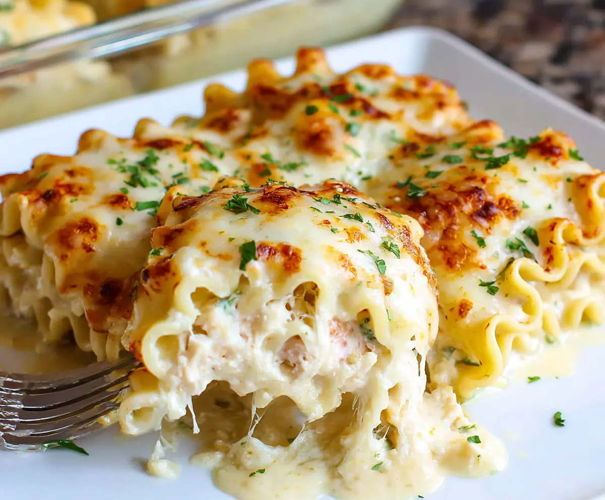 Delicious Chicken Alfredo Lasagna Rolls served on a white plate, garnished with herbs.